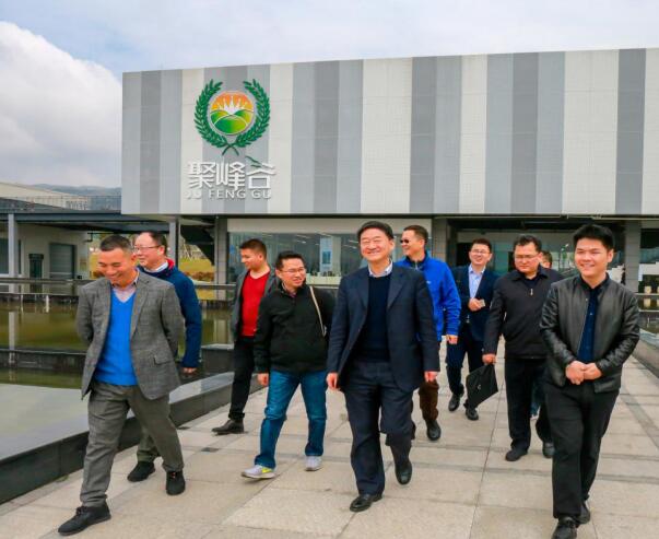 集团党委书记、董事长任丁率队调研聚峰谷